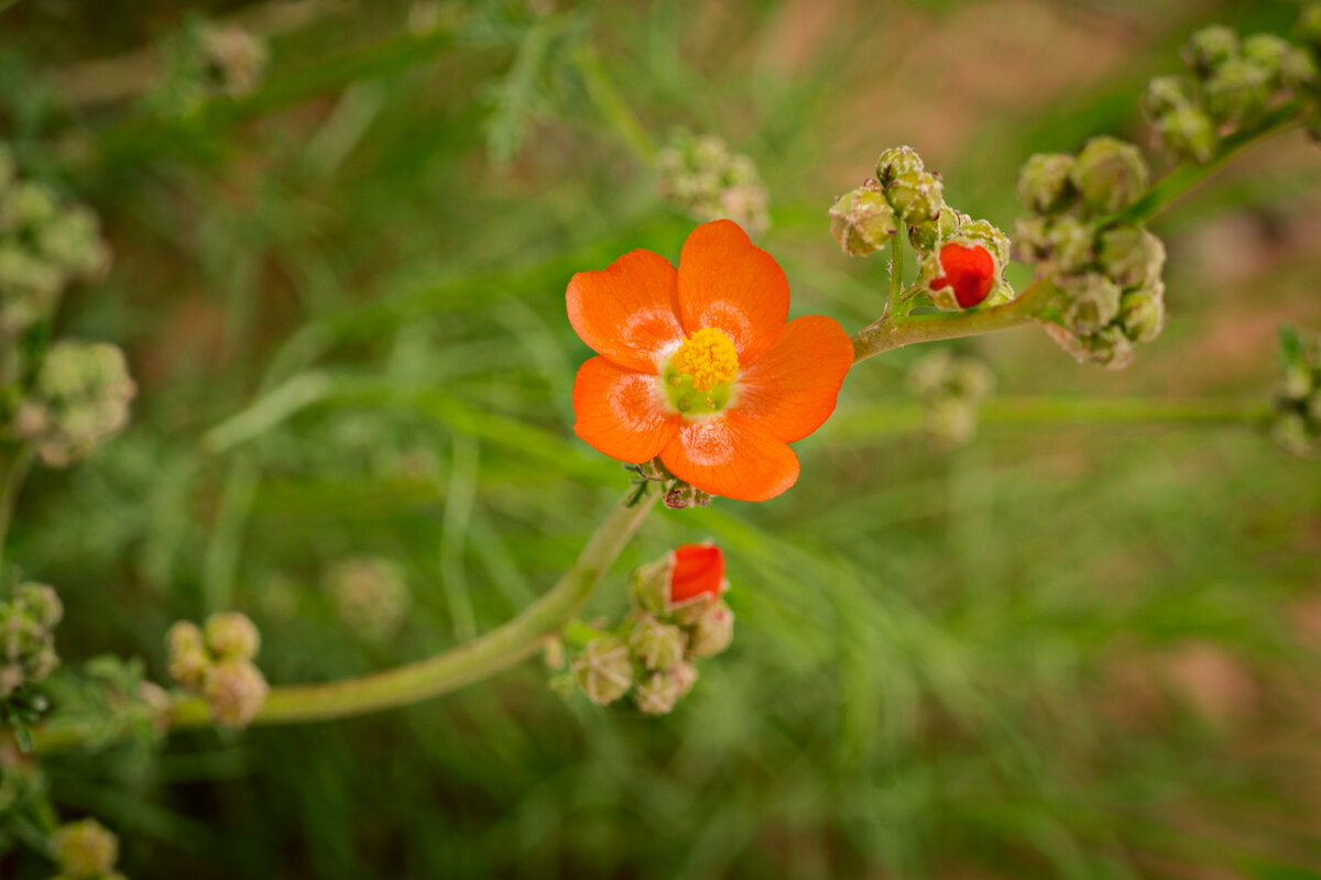 CT5A0685.jpg