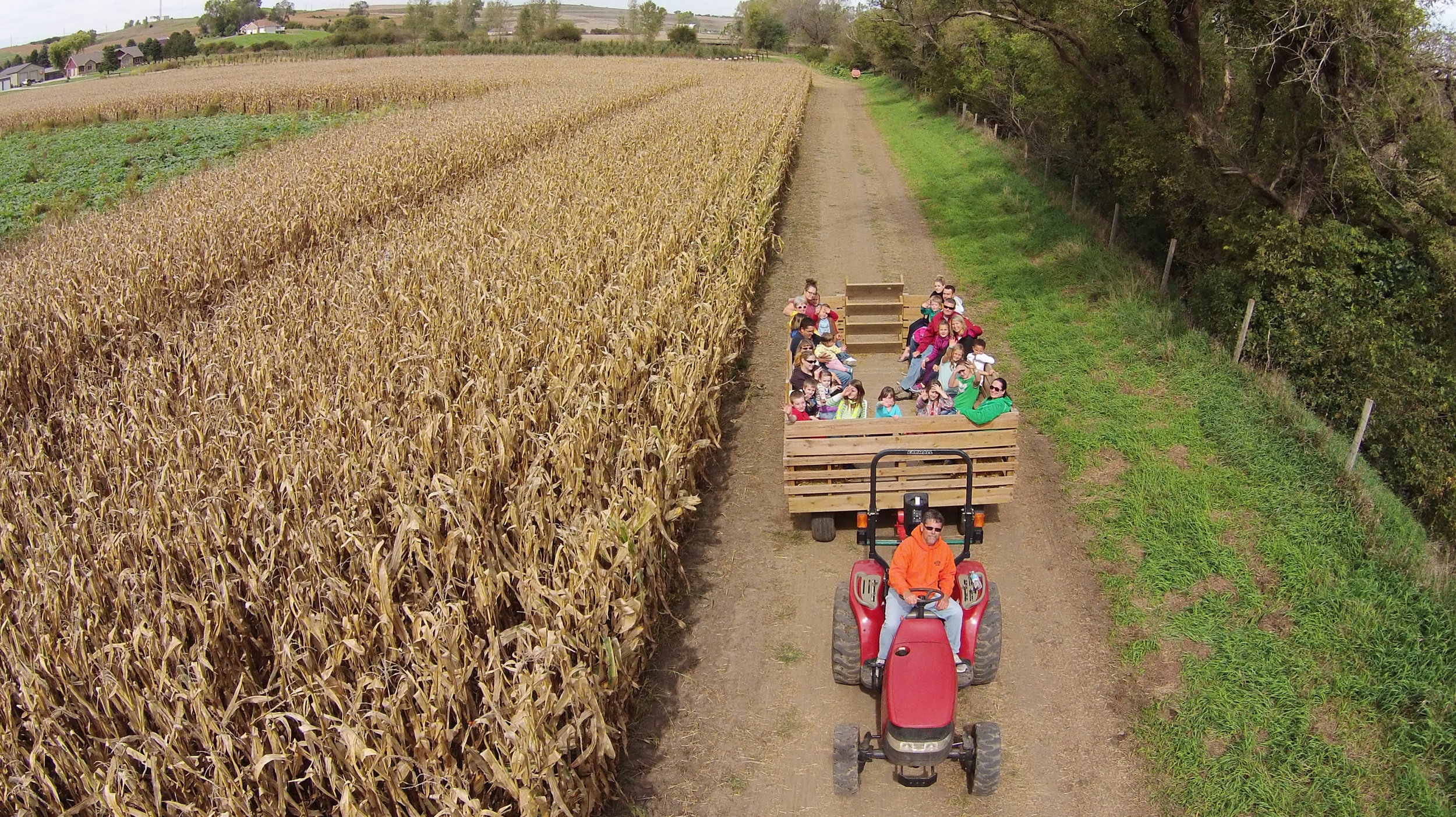 Scarecrow Farm Edited 3.jpg