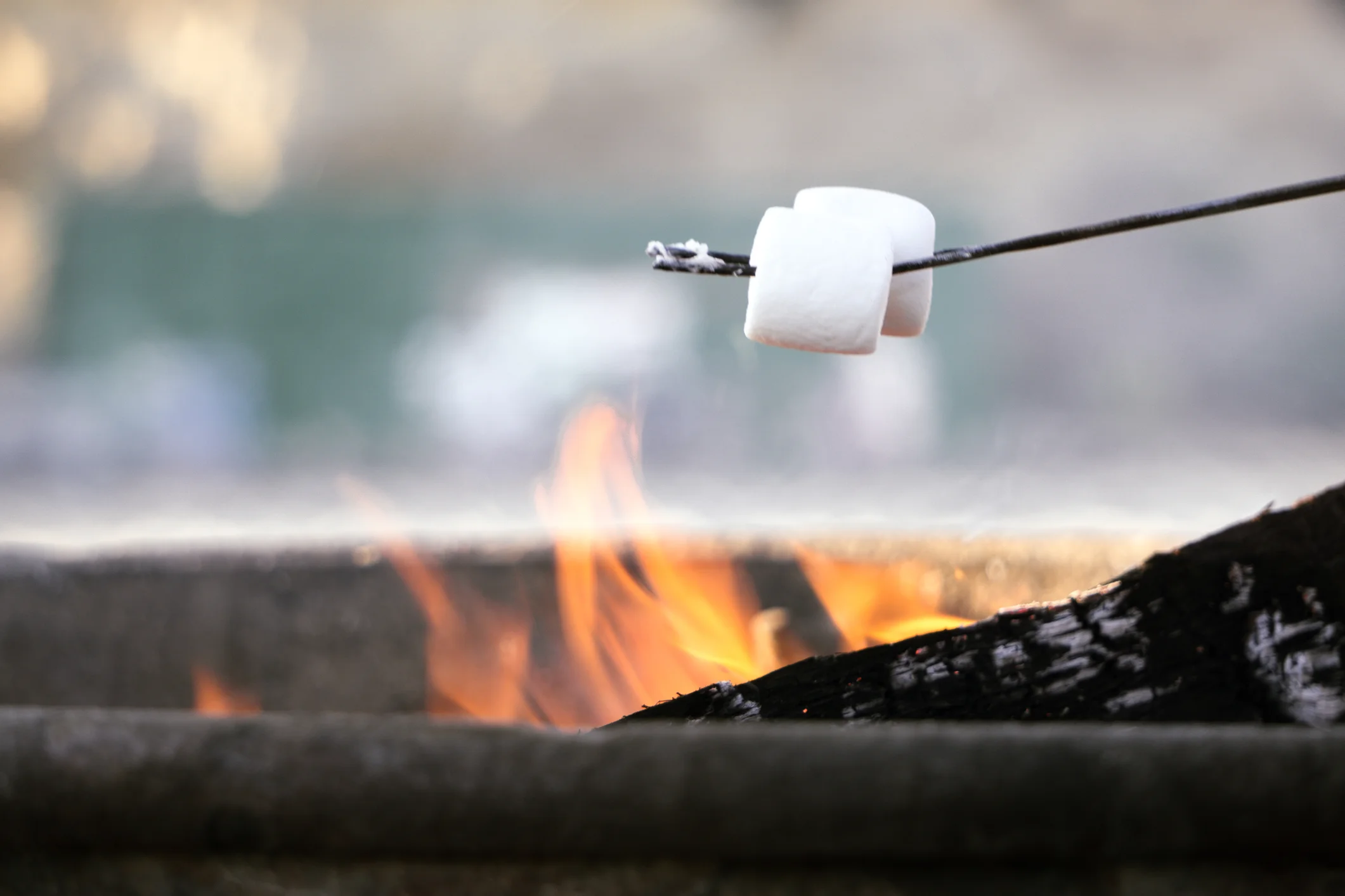 marshmallows.jpg