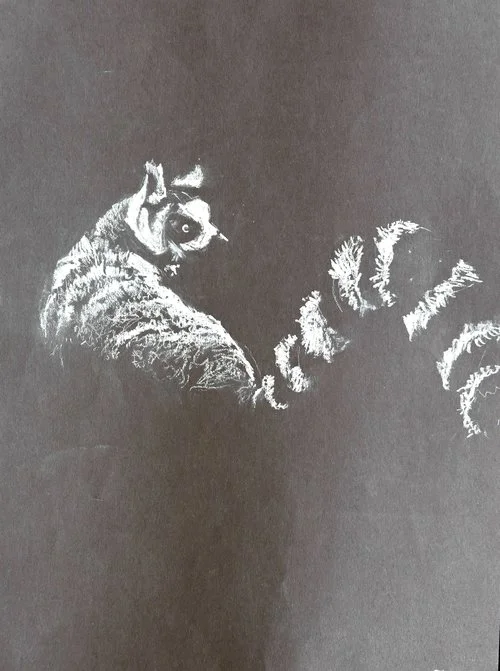 Lemur.jpg