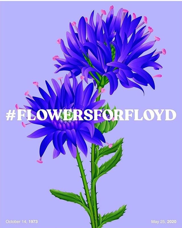 Today, we silence the hate in memory of George Floyd. ⠀
Help silence the feeds of racist movements with #flowersforfloyd ⠀
Share this post to your feed and tag⠀
&bull; #bluelivesmatter &bull; #whitelivesmatter &bull; #alllivesmatter &bull; #maga &bul