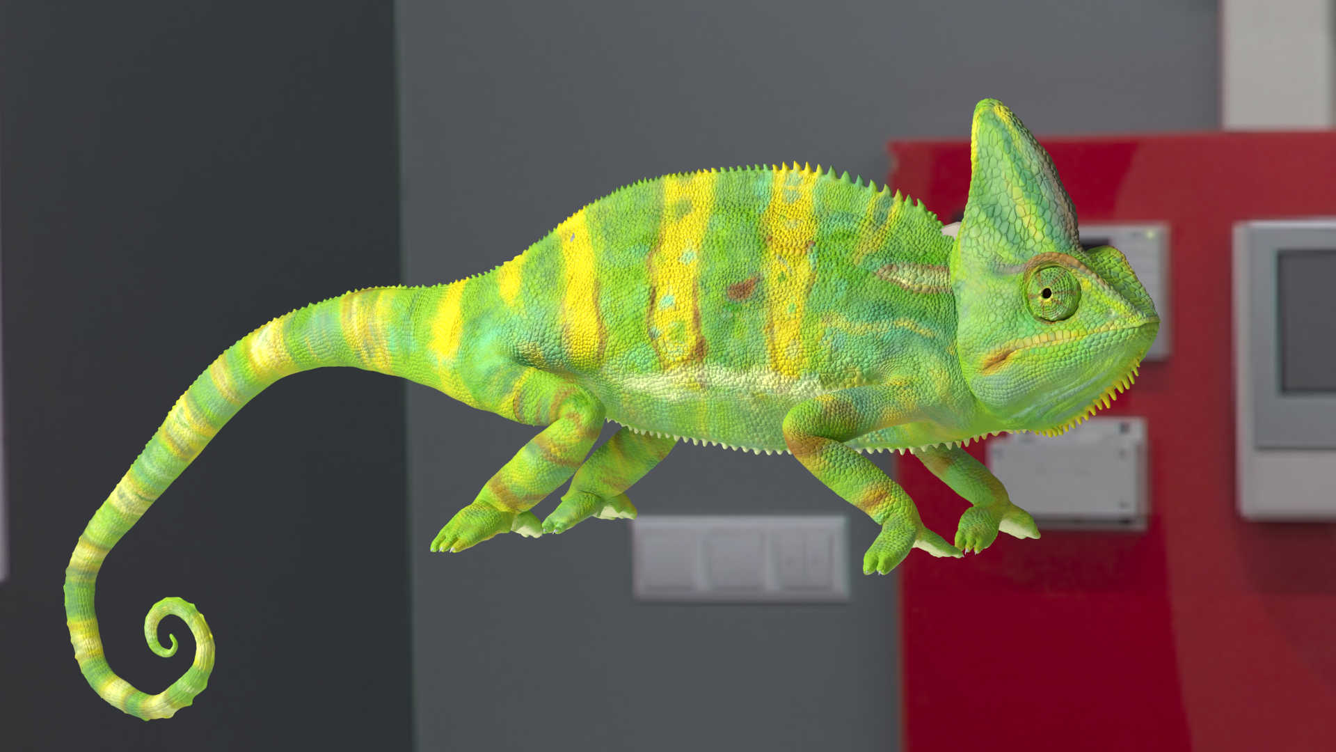 testrender_body.png