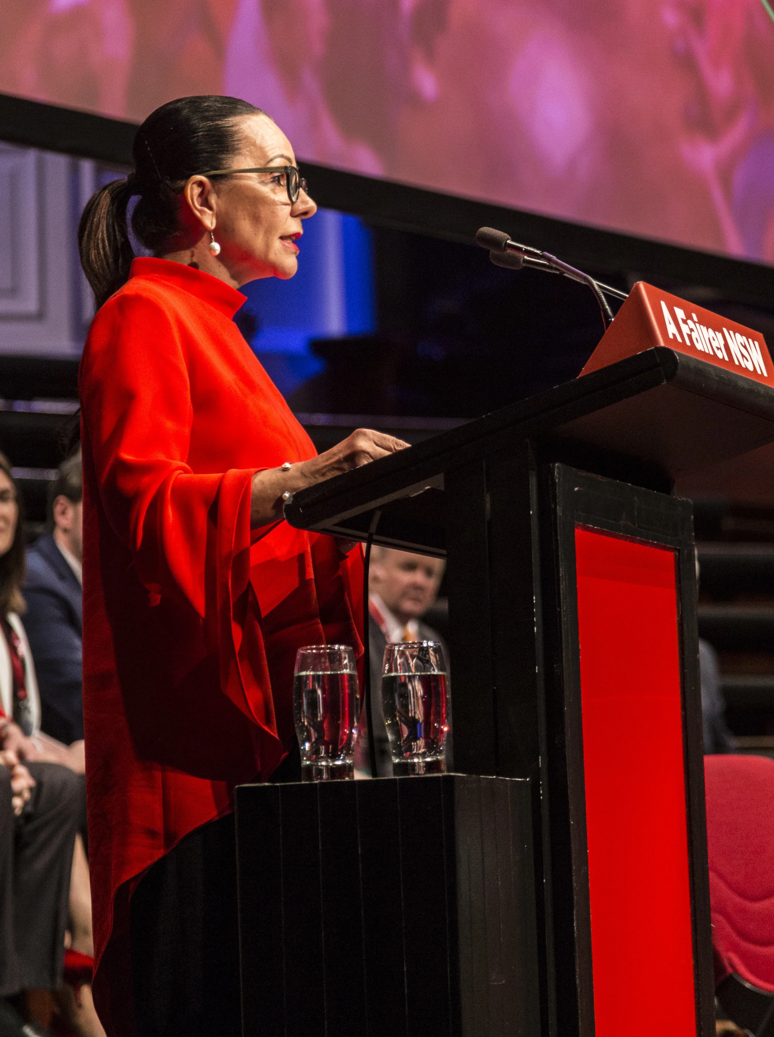 Linda at the NSW ALP state conference, 2017