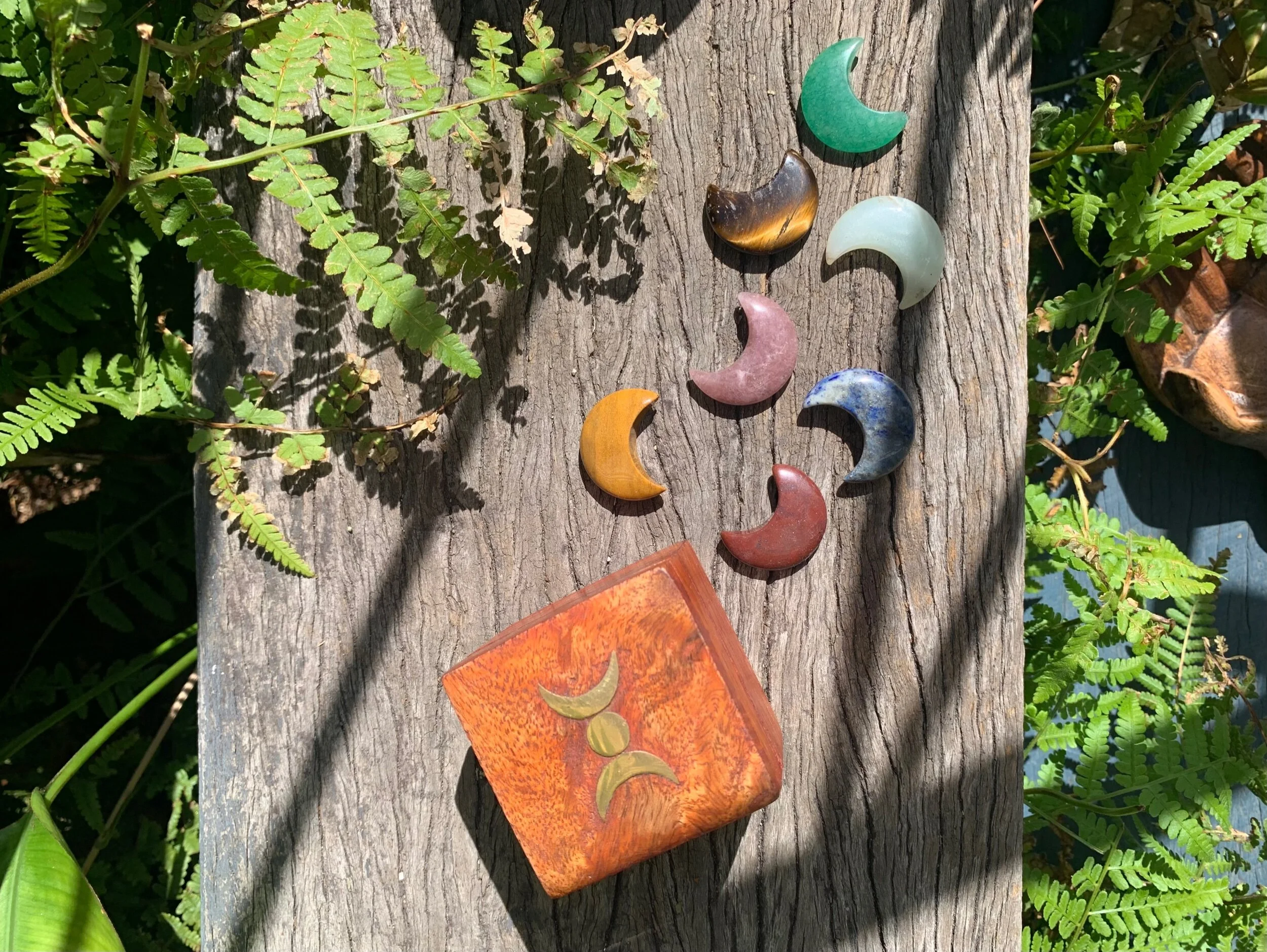 42D364E5-AF6E-442E-B611-767F4869EFDA