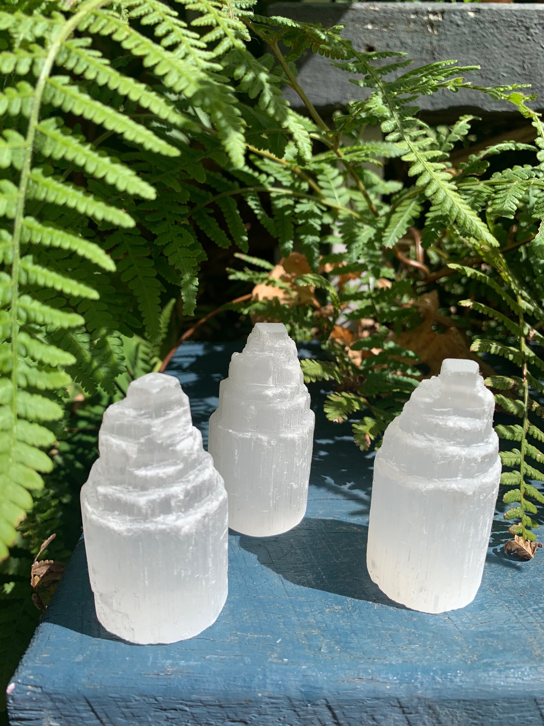 D8206FCF-7A5D-4D46-89A6-A728C430FAA5