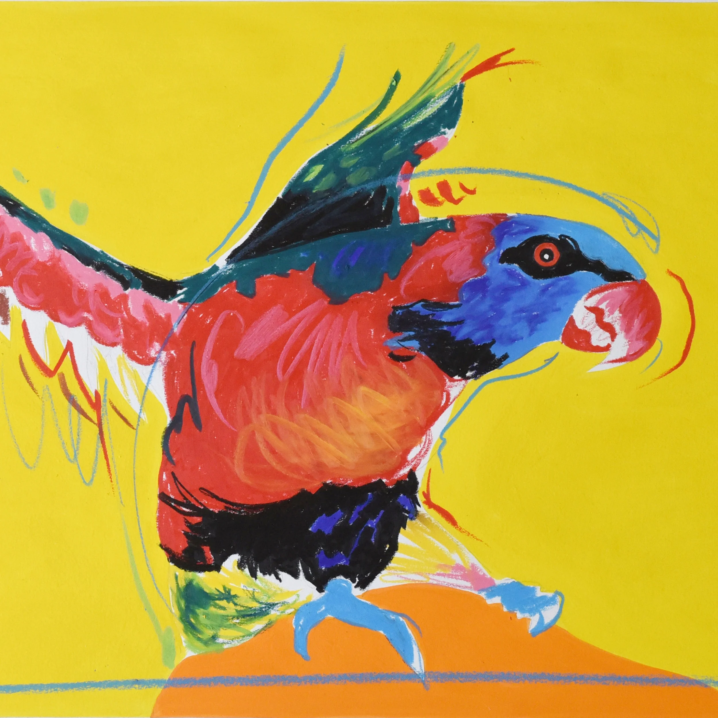 Painting of a Rainbow lorikeet using wax pencil and acrylic on art board