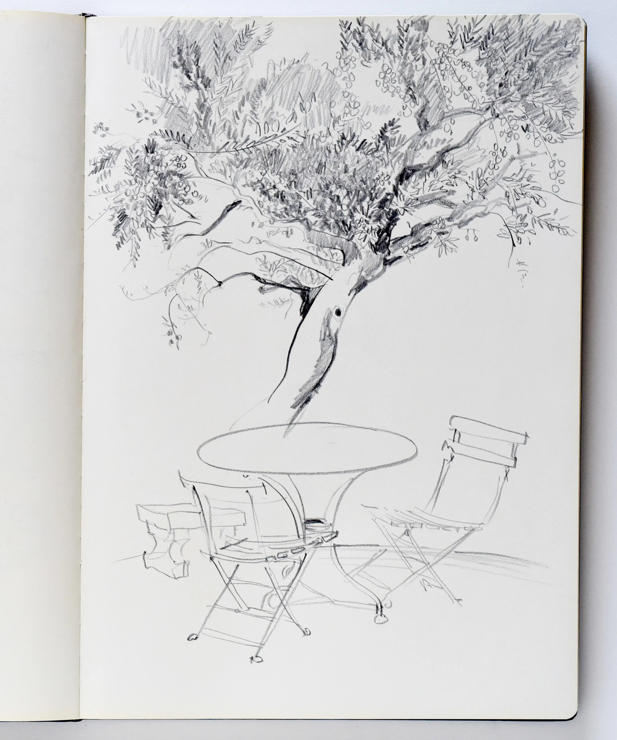 Pencil drawing of a table under an olive tree in Saint-Remy-de-Provence