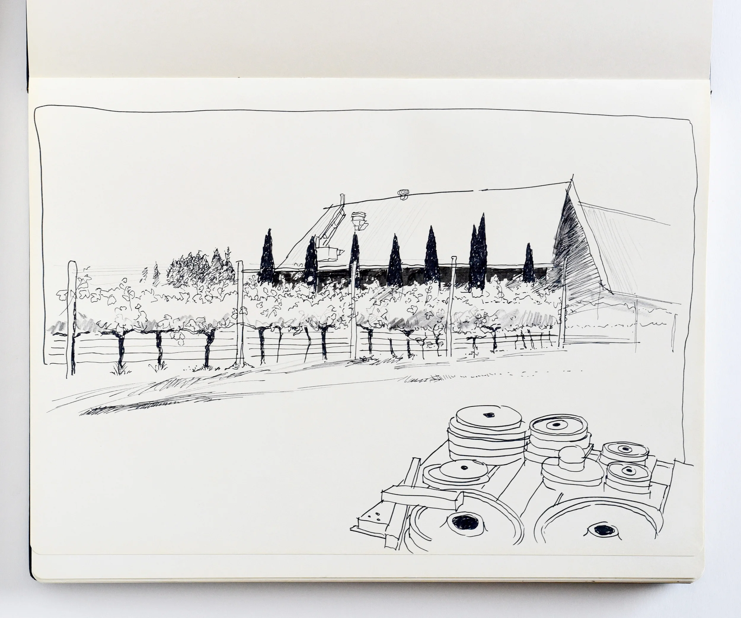 Drawing and view of Castagna Vineyard in Beechworth Victoria
