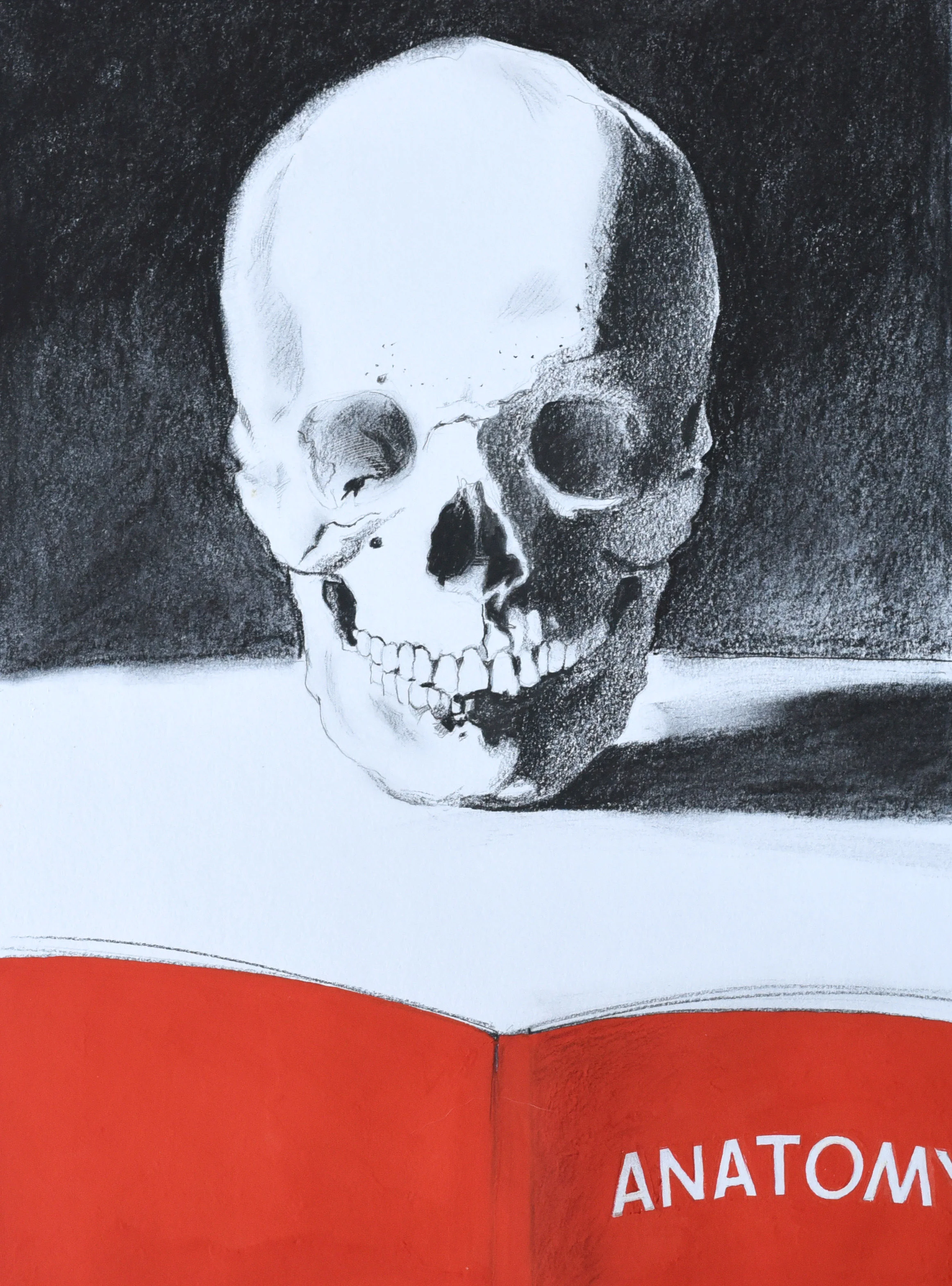 Pencil drawing of a human skull