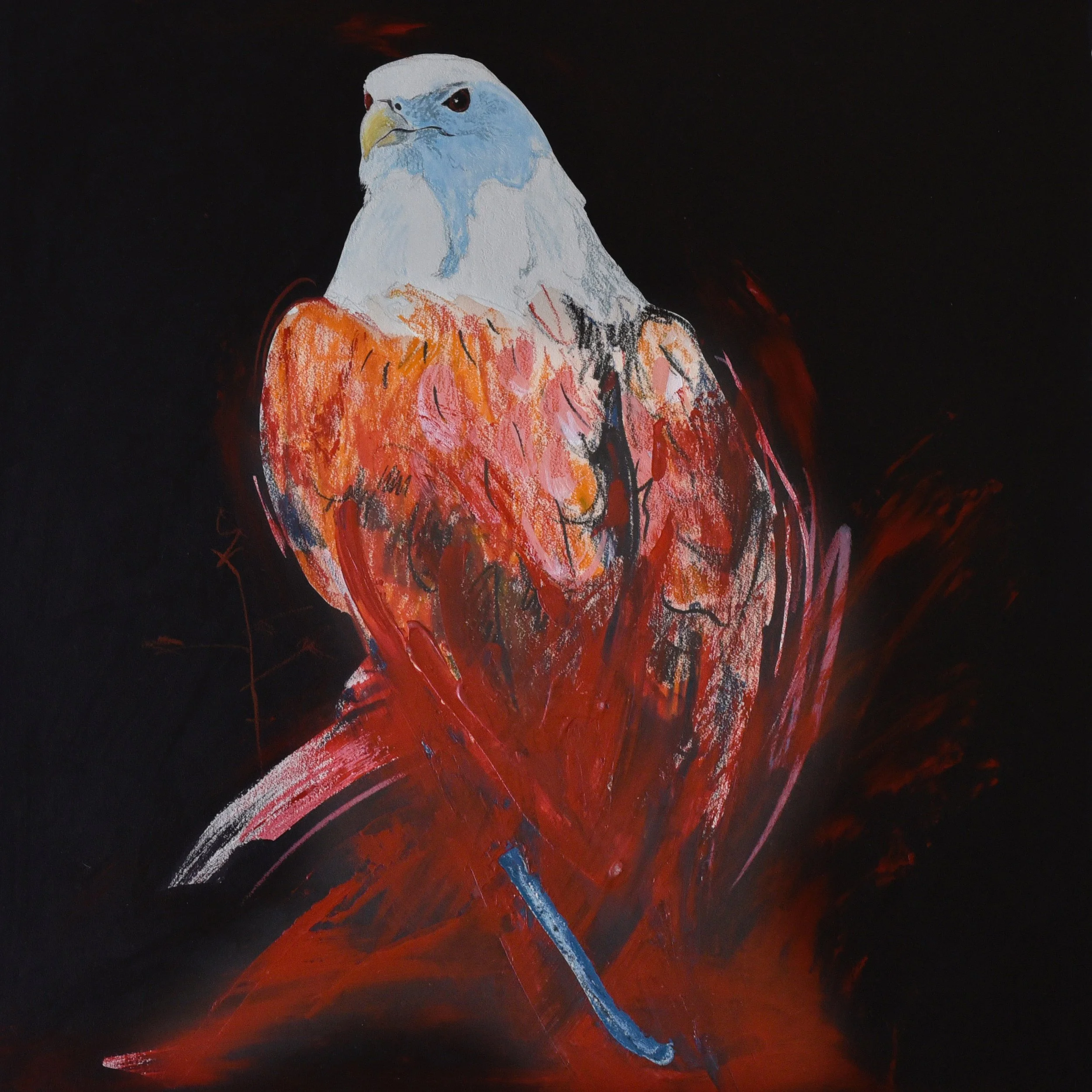 Bald Eagle / 45cm x 50cm / Acrylic and Wax Pencil on Art Board