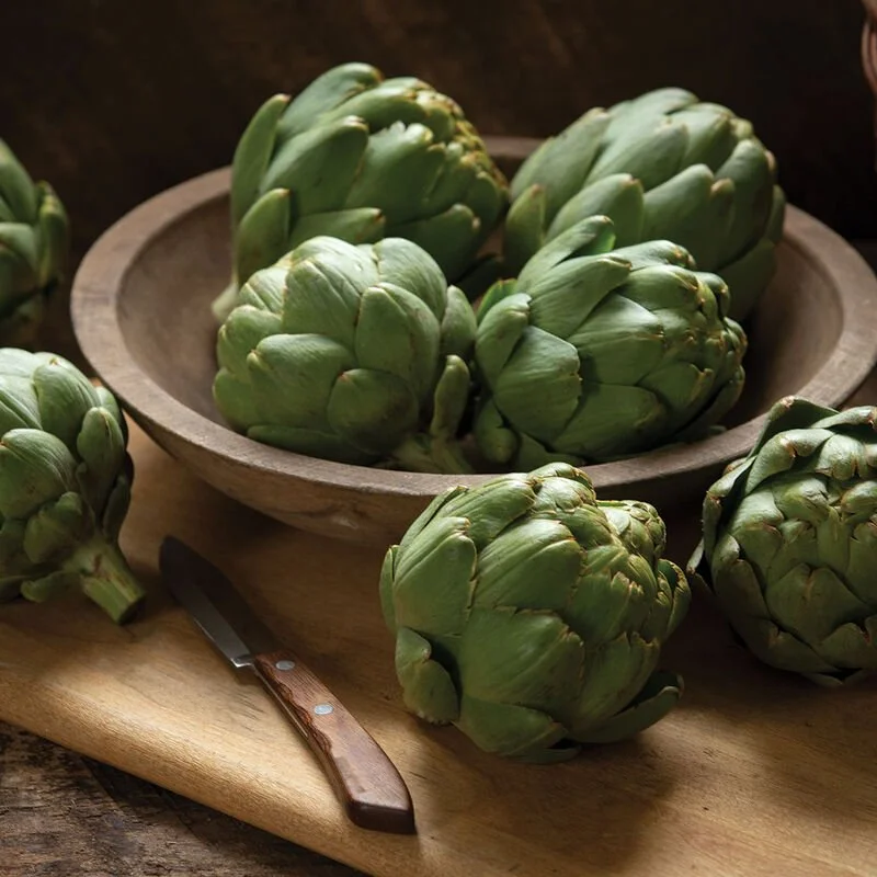 Artichoke Seedling: Tavor