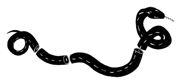 snake website header 2.png