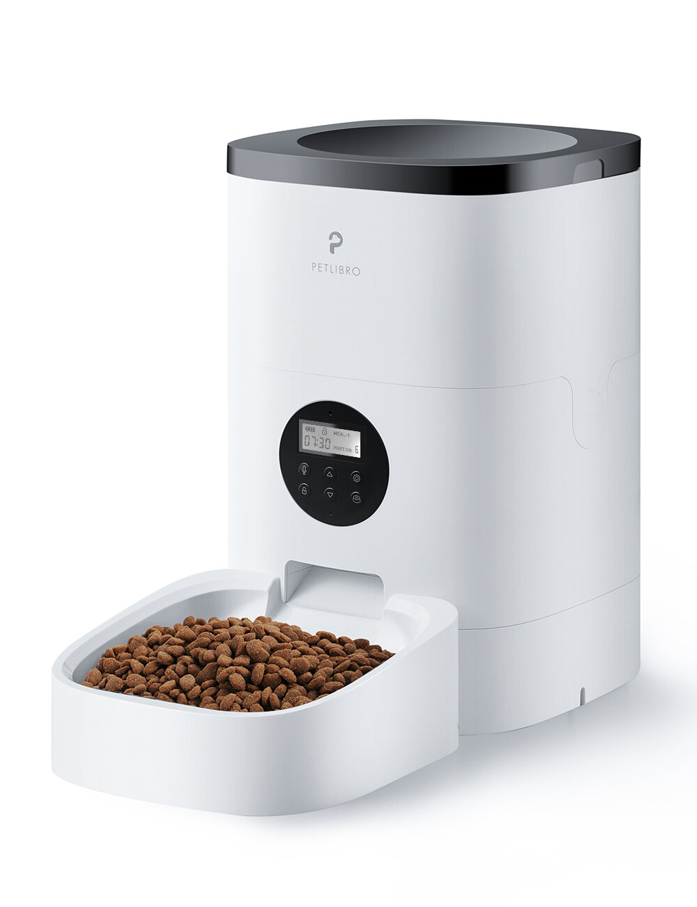 Modern Cat Feeding Scheduled Meals for Busy Cat Parents Space