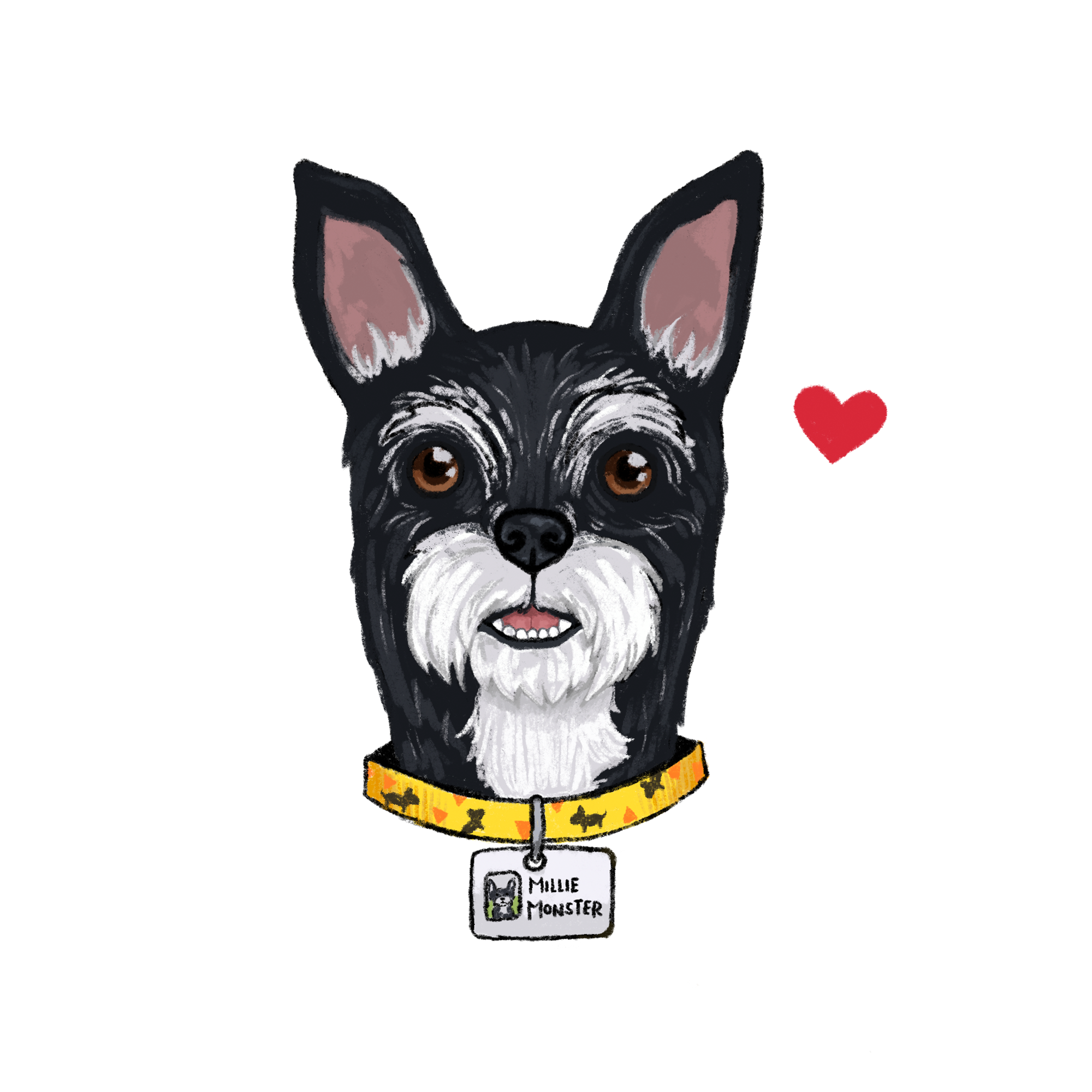 1_pup_sq.png