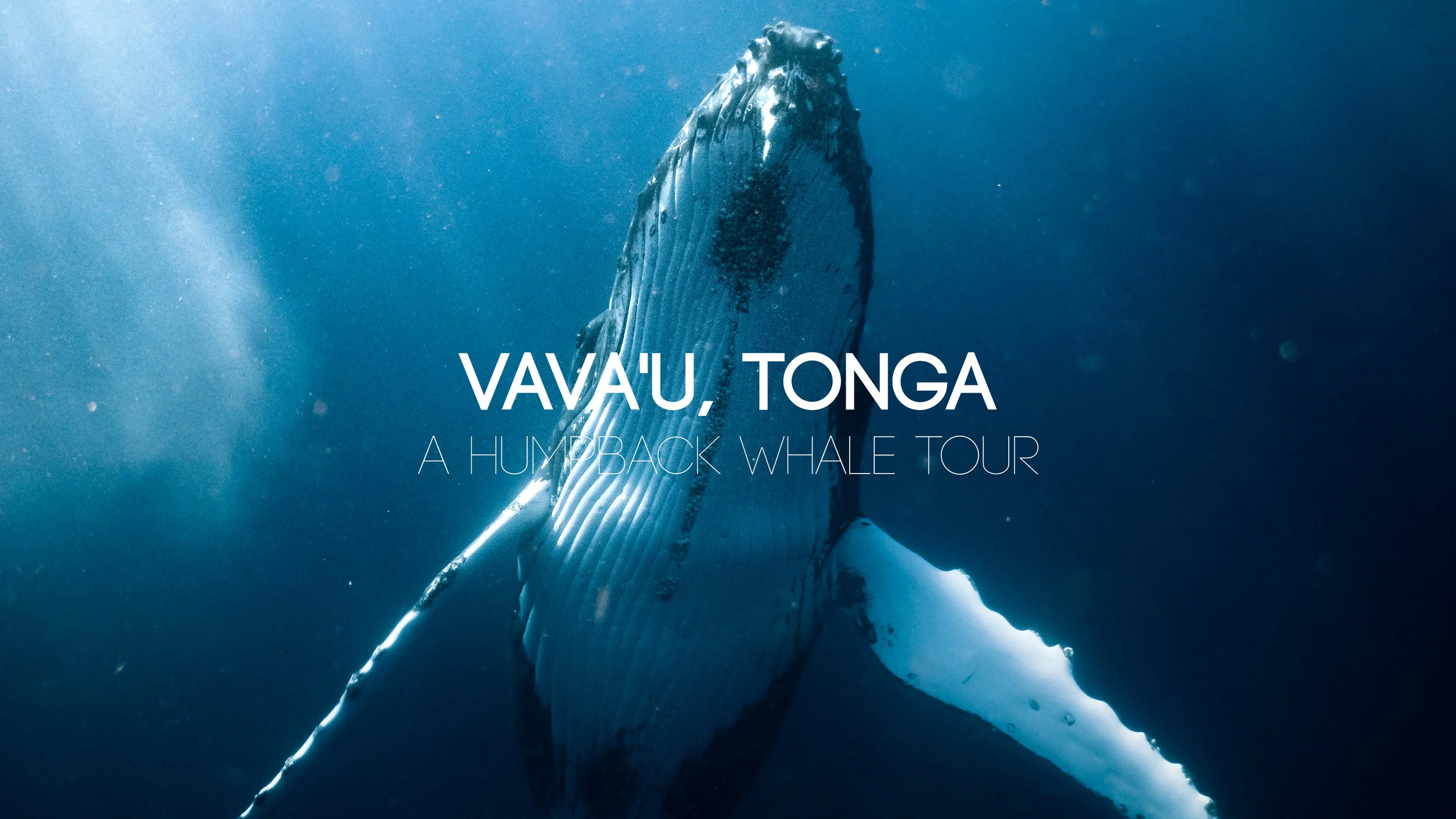 tonga-thumbnail.jpg