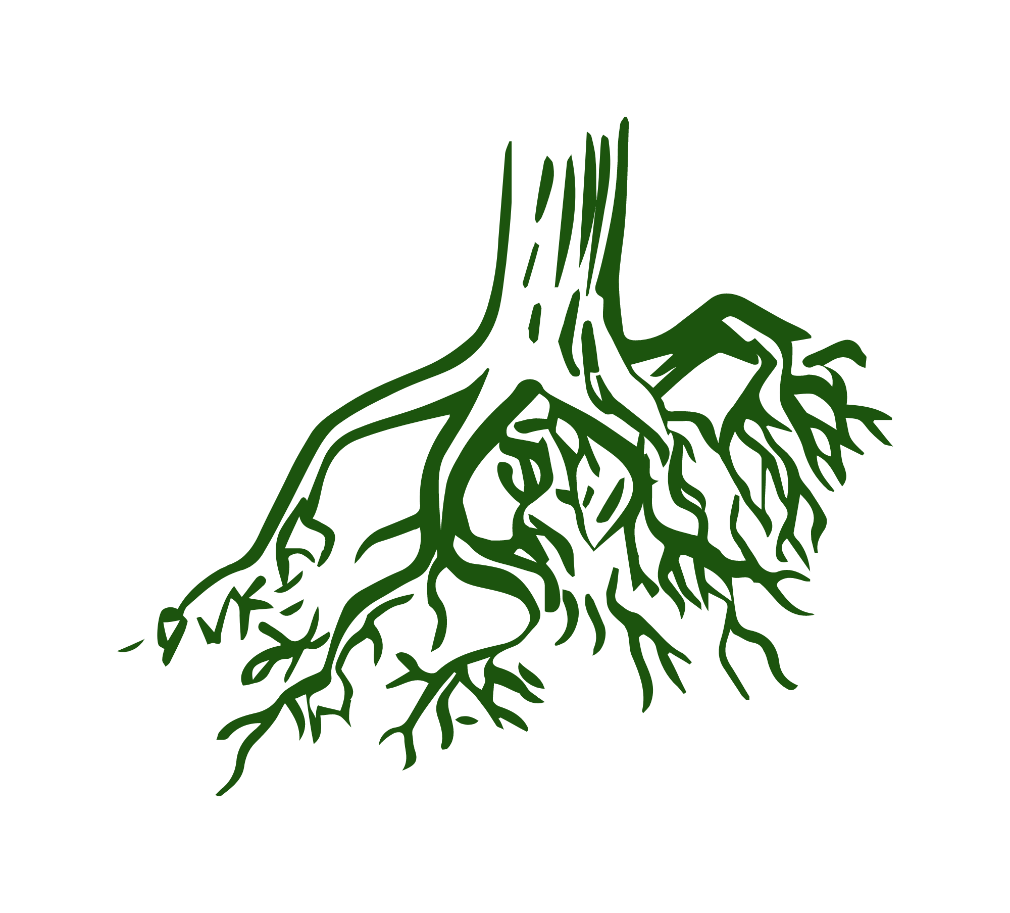 logo green.png