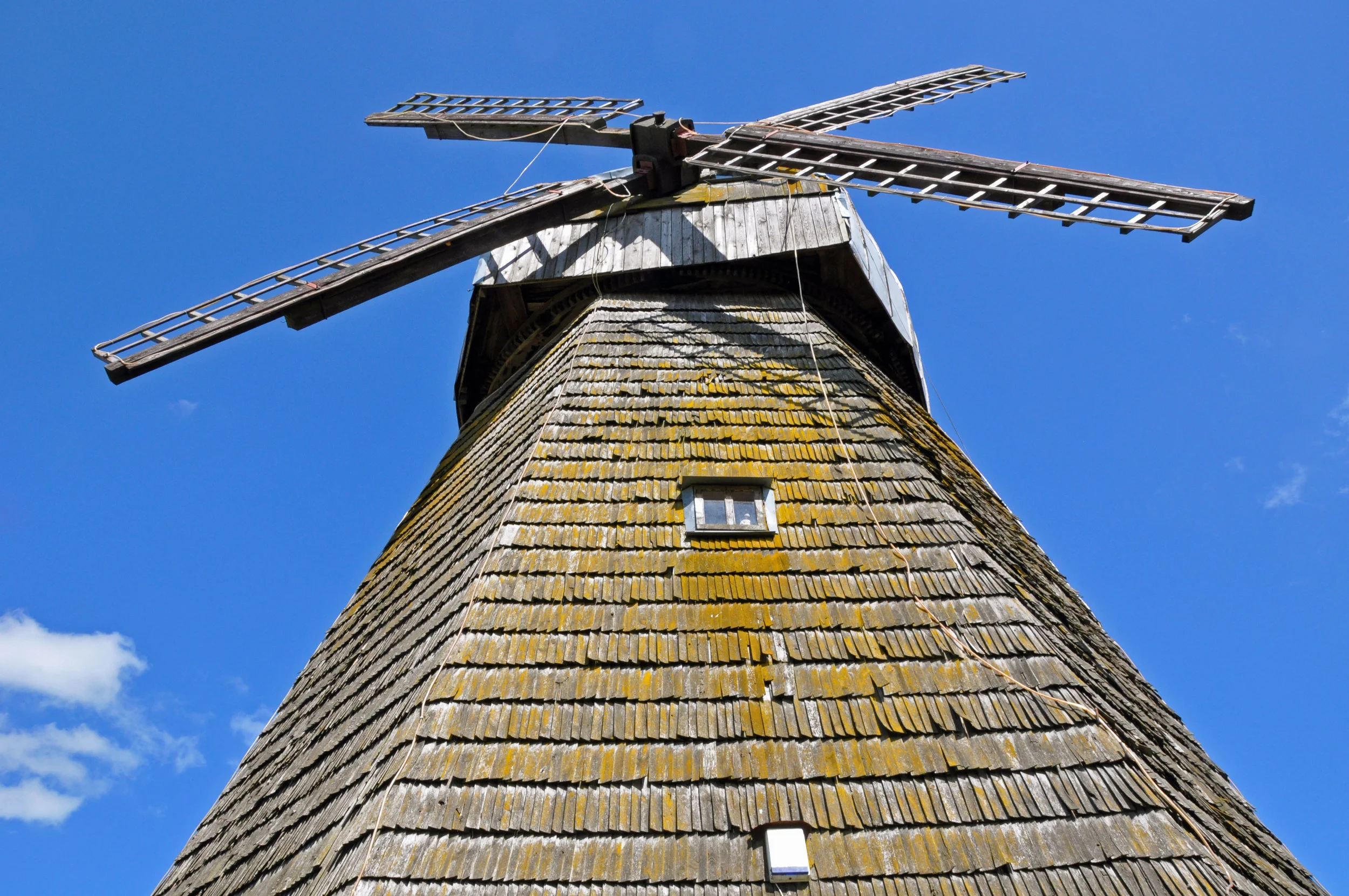 DSC_5159.jpg
