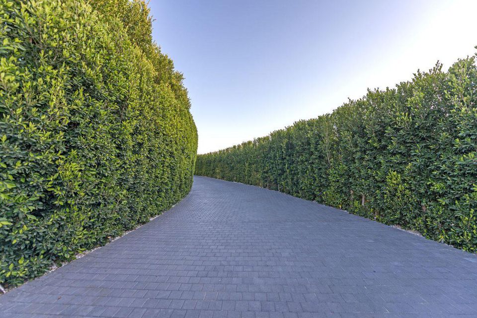 https___blogs-images.forbes.com_kristintablang_files_2018_06_5driveway-HIGH-Everett-Fenton-Gidley-1200x801.jpg