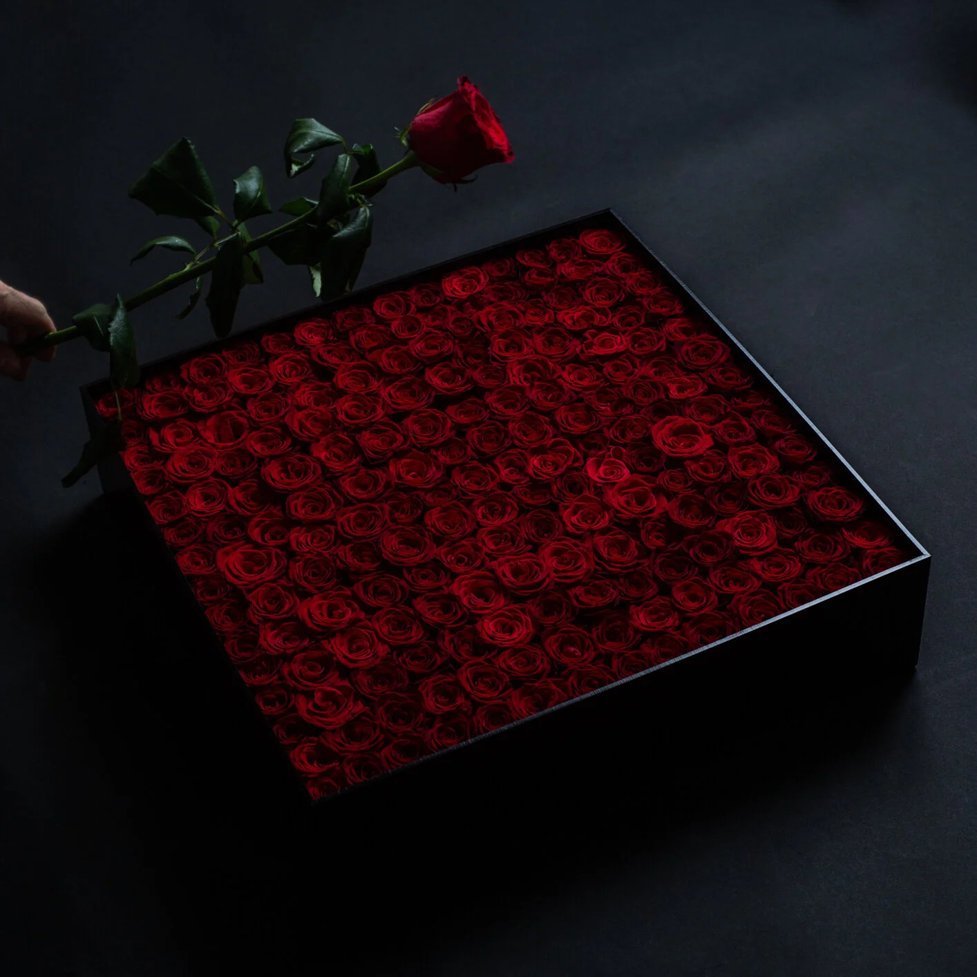 CD21C5C0-2298-4339-8580-318F5414FCB4