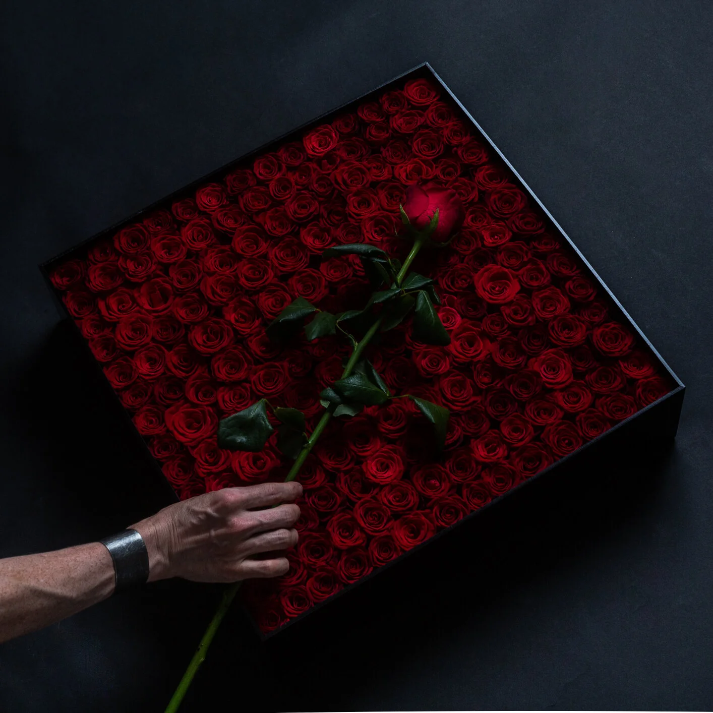 6DD89F69-249B-44BB-8A48-E57890C721B9