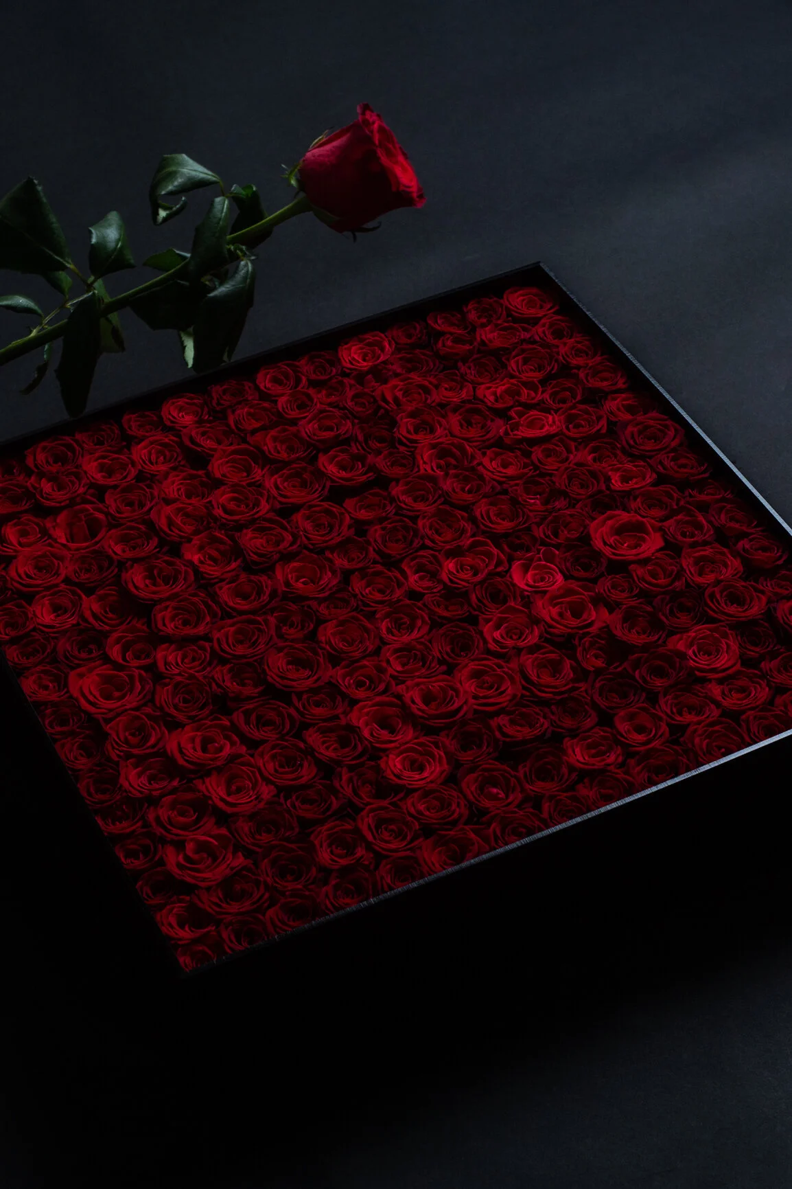 Total Devotion - Red Rose Gift Box