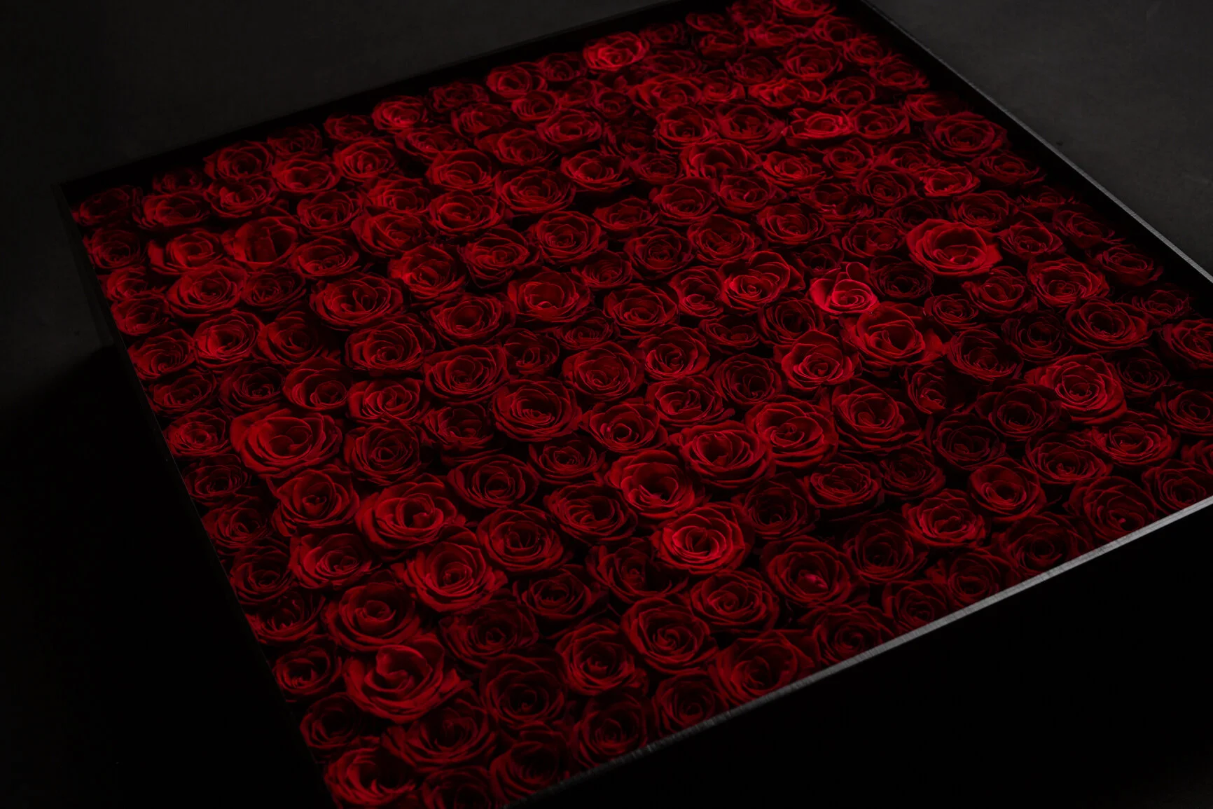 15DC288C-614D-43CF-BD6F-C464462DF4D5