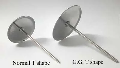gg_t_nail_4.jpg