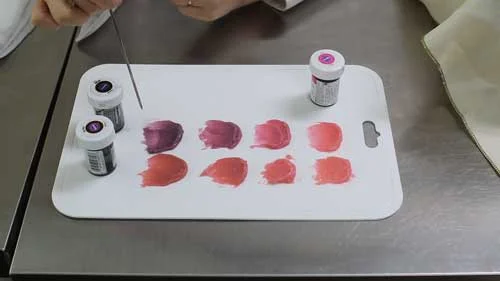 Lecture 3 : Introduction of food color pigments