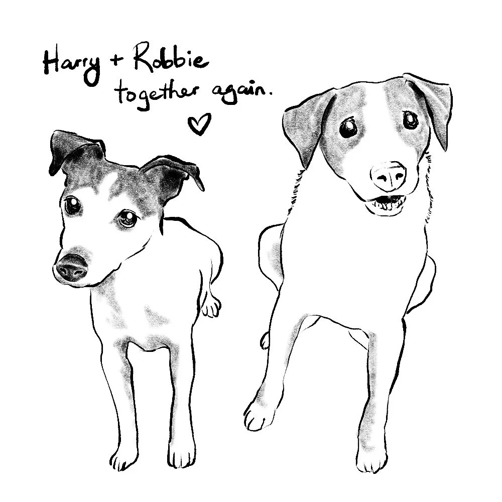 Harry and Robbie.jpg