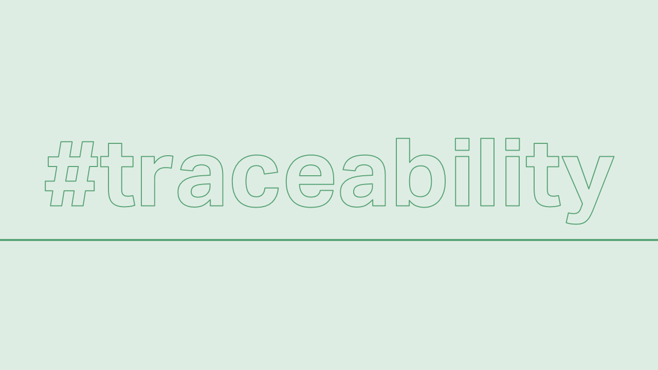 The Role of Traceability in Human Rights Due Diligence