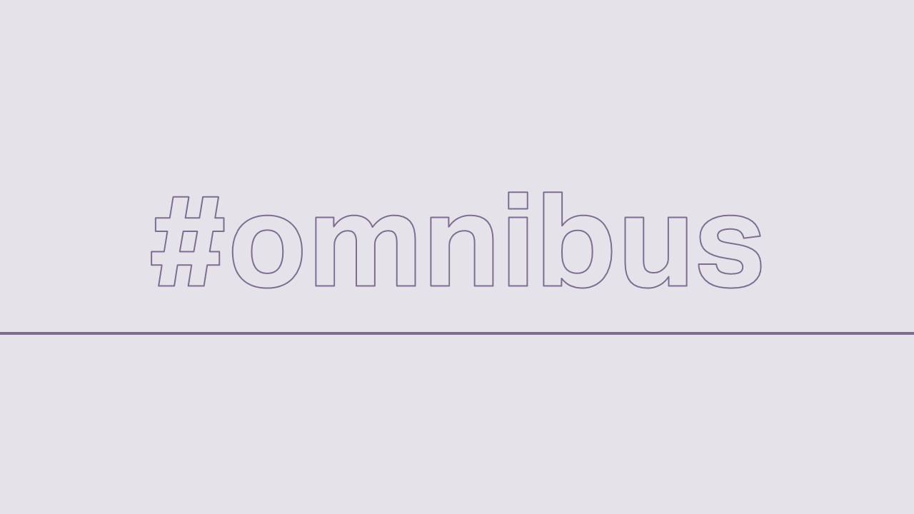 CSDDD After the Omnibus: What Still Matters for Companies Now