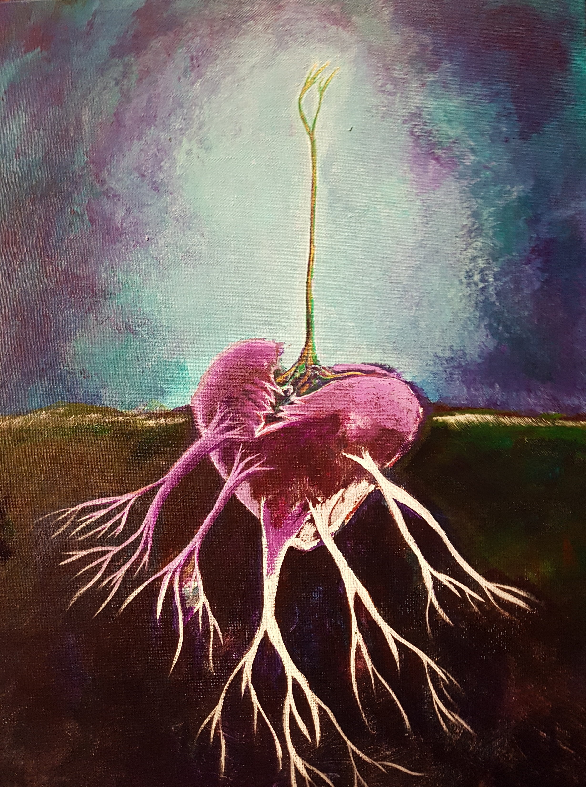 Birth New Beginnings