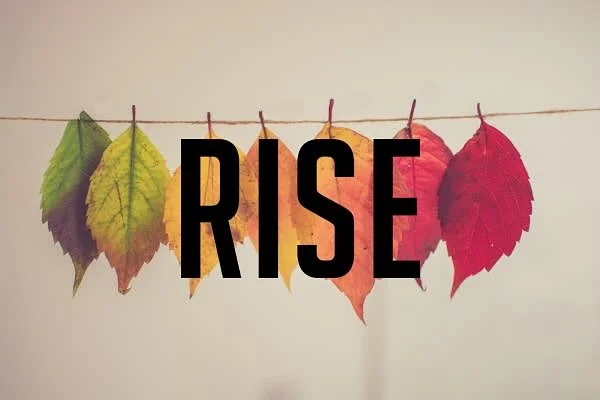 Rise will be opening today at 6PM to allow our staff to celebrate Thanksgiving with their friends and family. The Jones Effect will still be happening tonight with Zeta Jones and DJ Steve Sidewalk at 10:30!
