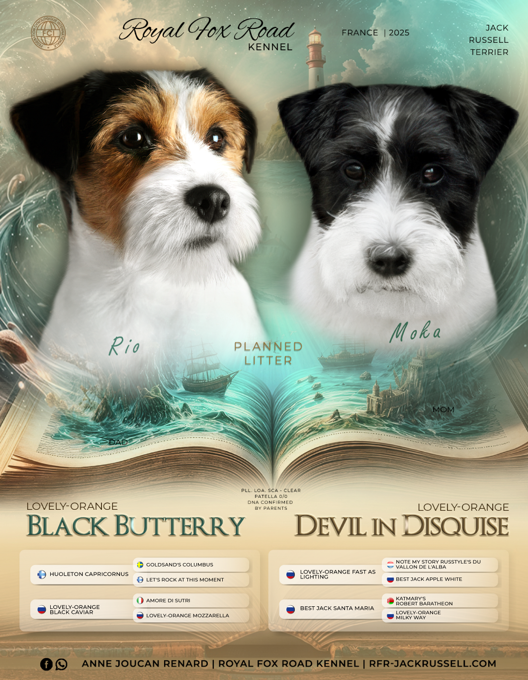 FLYER RIO & MOKA 2025.png