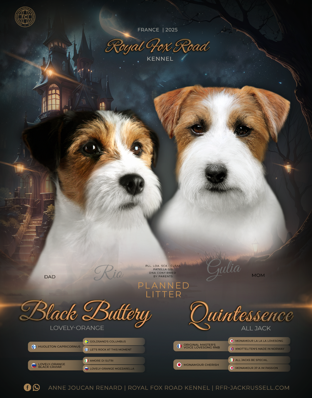 FLYER RIO & GIULIA MARS 2025.png