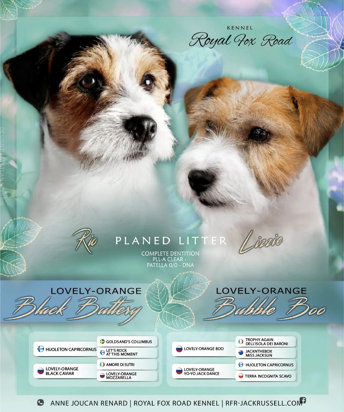 FLYER RIO & LIZZIE.jpeg