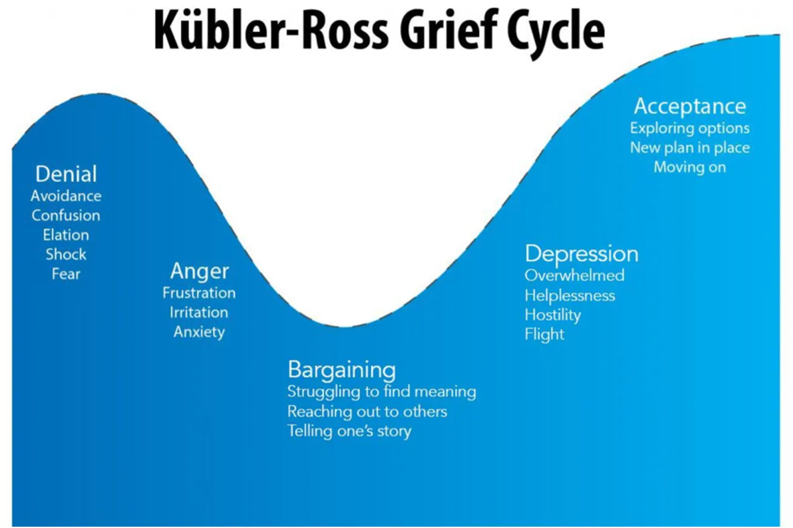 What I Learned From a Short Contract: How to Avoid Early Exit in Your Next Role