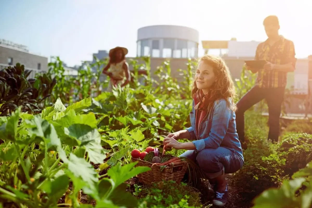 Community-Urban-Agriculture-scaled-1.jpg.webp