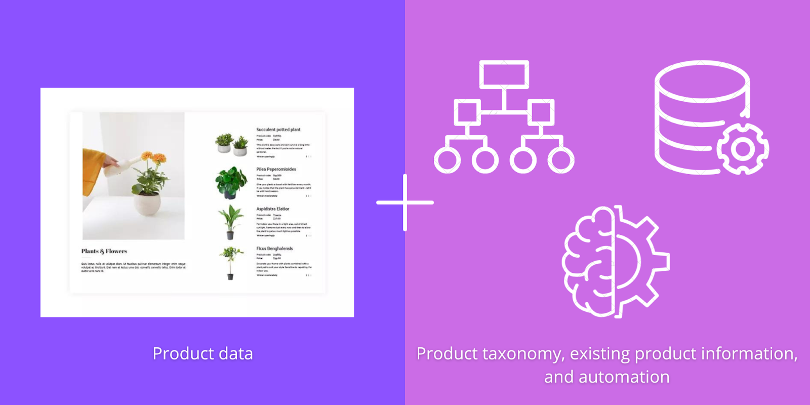 From Static to Smart: How AI Can Automatically Expand Your Product Catalog