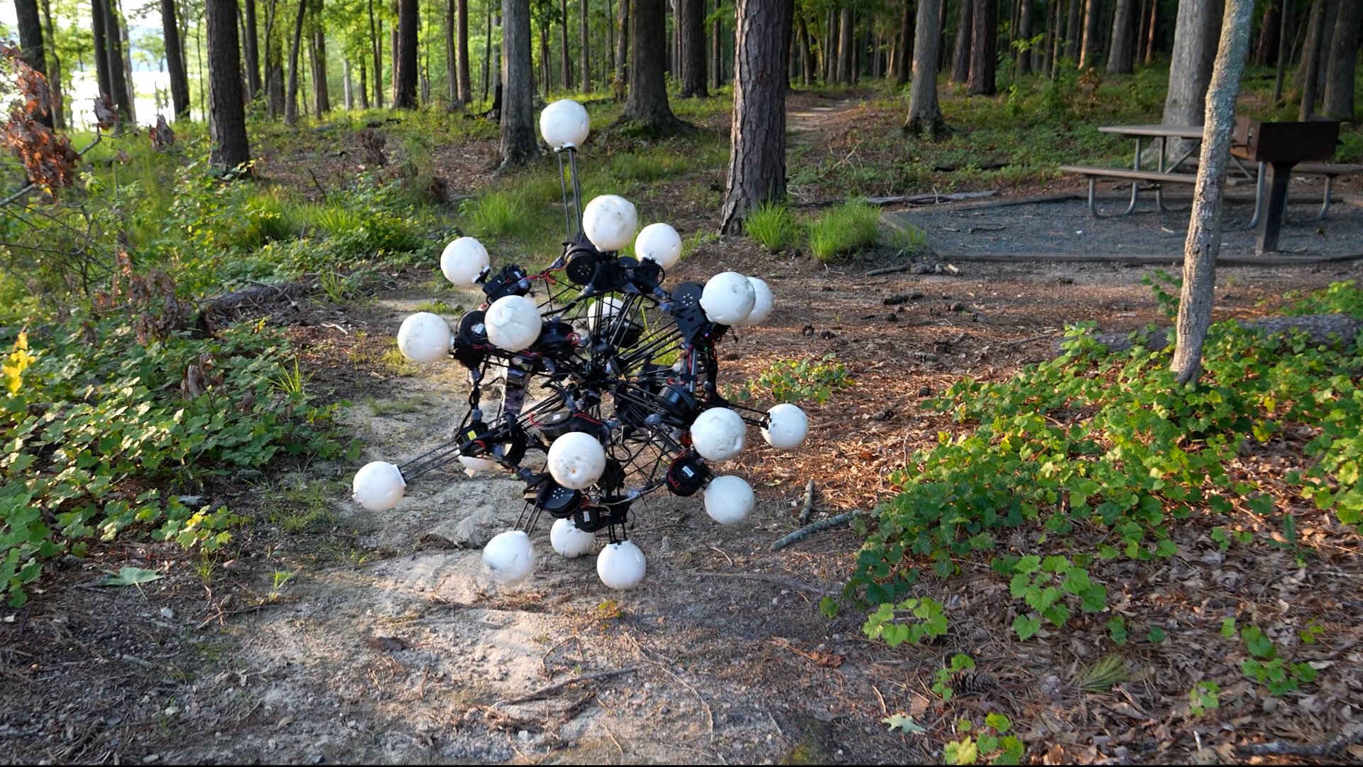 Argus: The 20-Legged Sea-Urchin Robot That Challenges How Machines Should Move