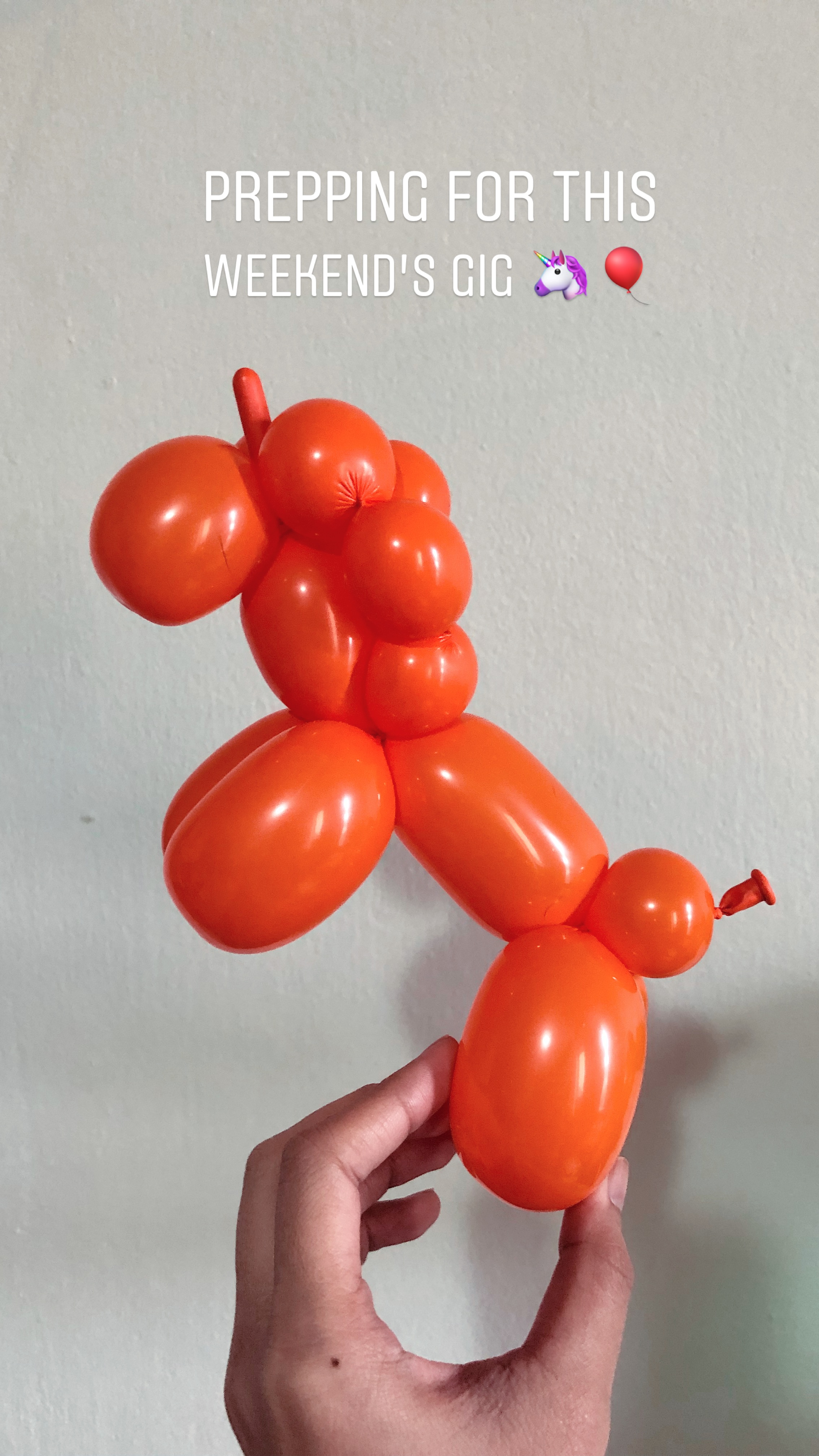 Balloon Twisting — Muse Guam