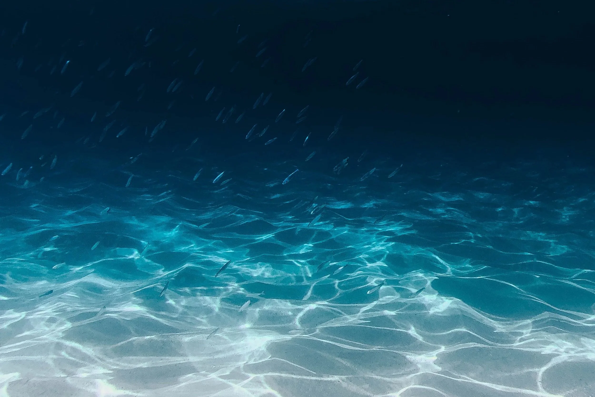 Kerania Versus The Dream 