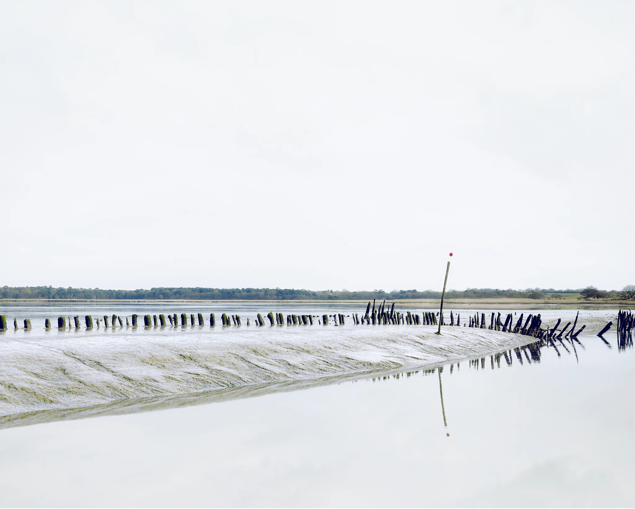 Blythburgh II. Angel Marsh.jpg