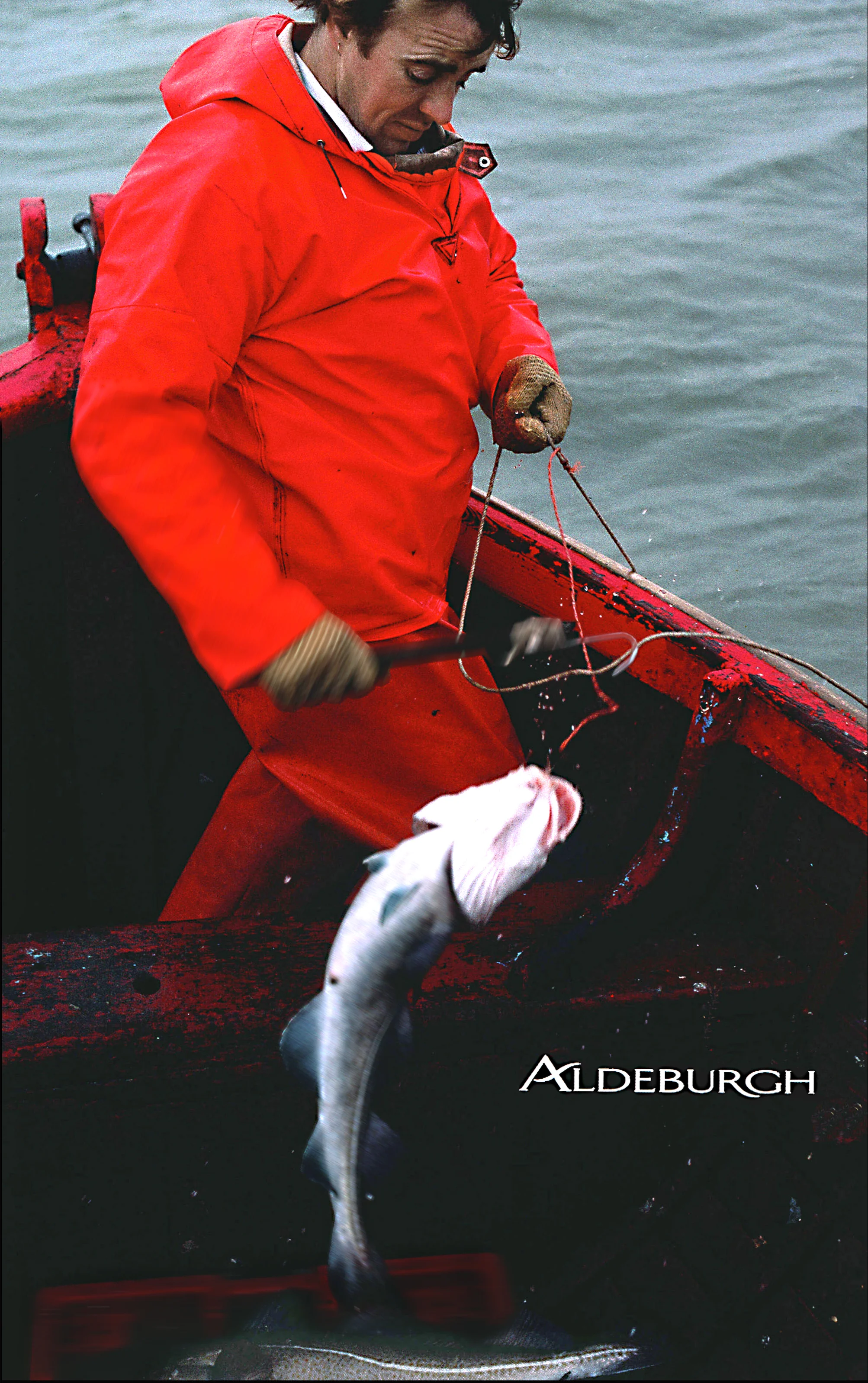Alde book.jpg
