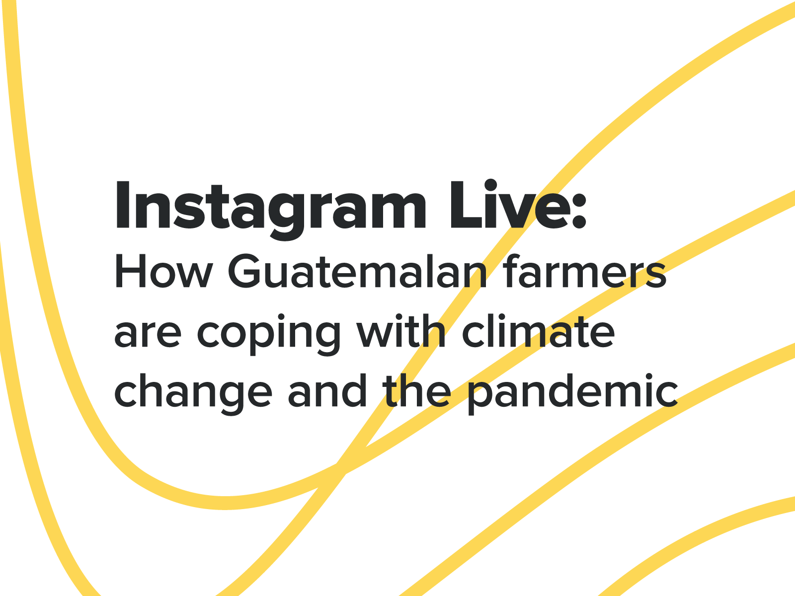 March 13 Instagram Live: How Guatemalan Farmers Are Coping with Climate Change and the Pandemic