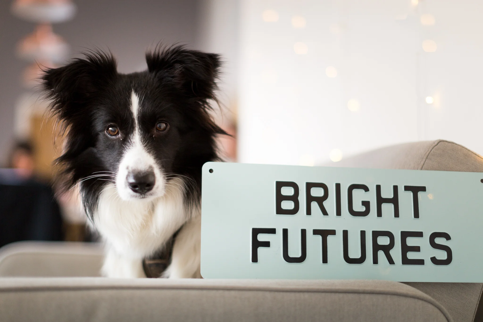 BRIGHT-FUTURES-CONSULTANCY-310118-0011.jpg