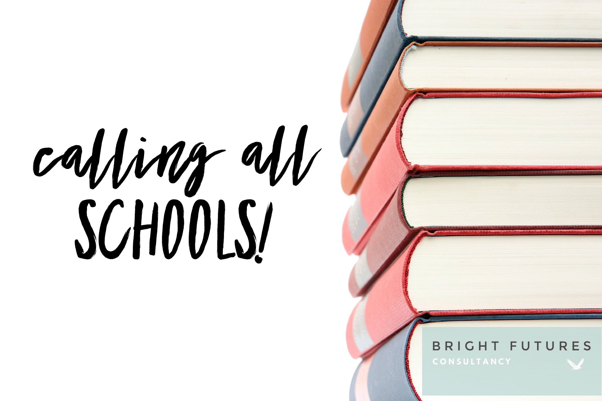 Does your school need help navigating the EHCP system?