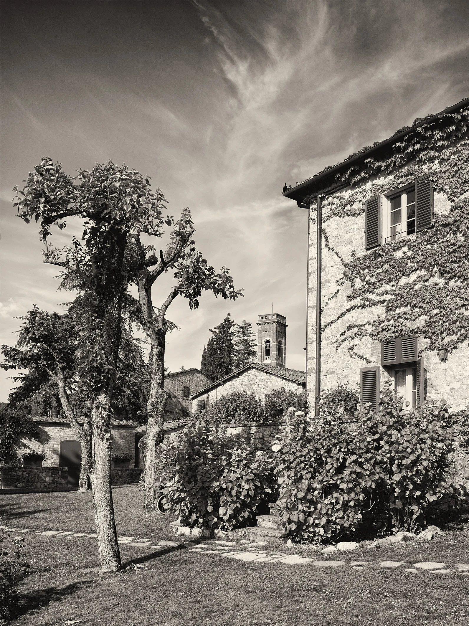 san_felice_B_0042.jpg