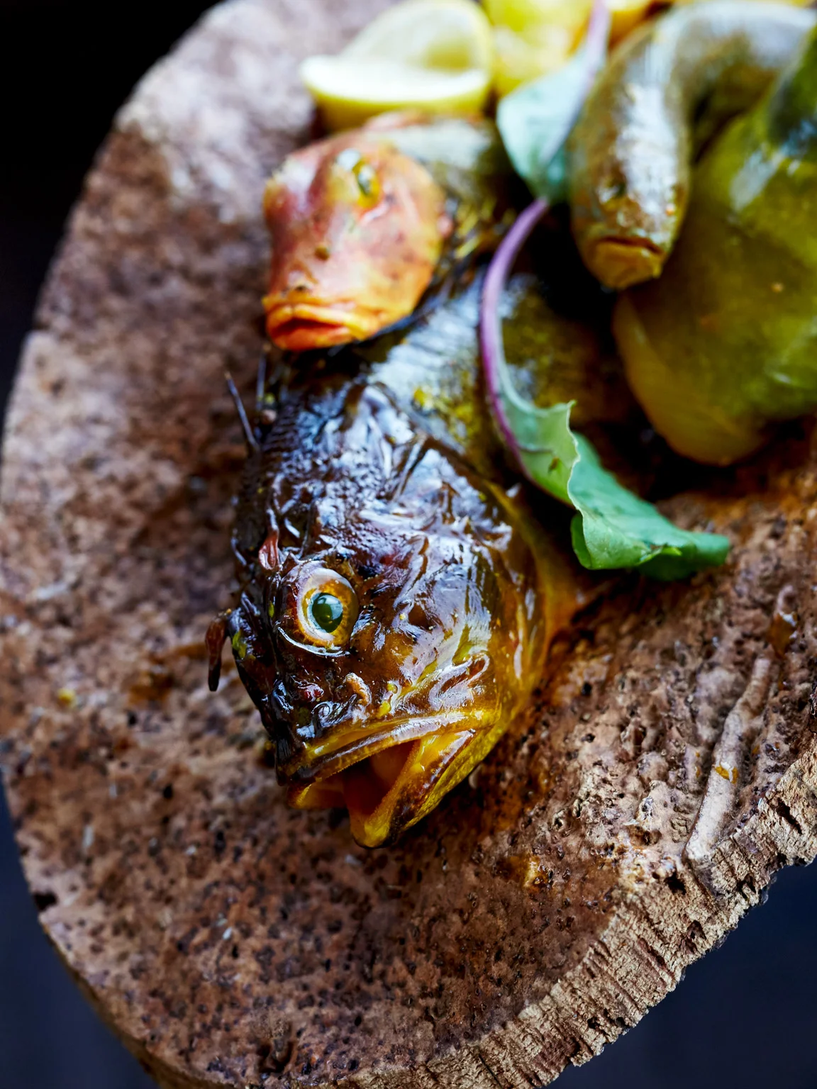 bouillabaisse_4347.jpg