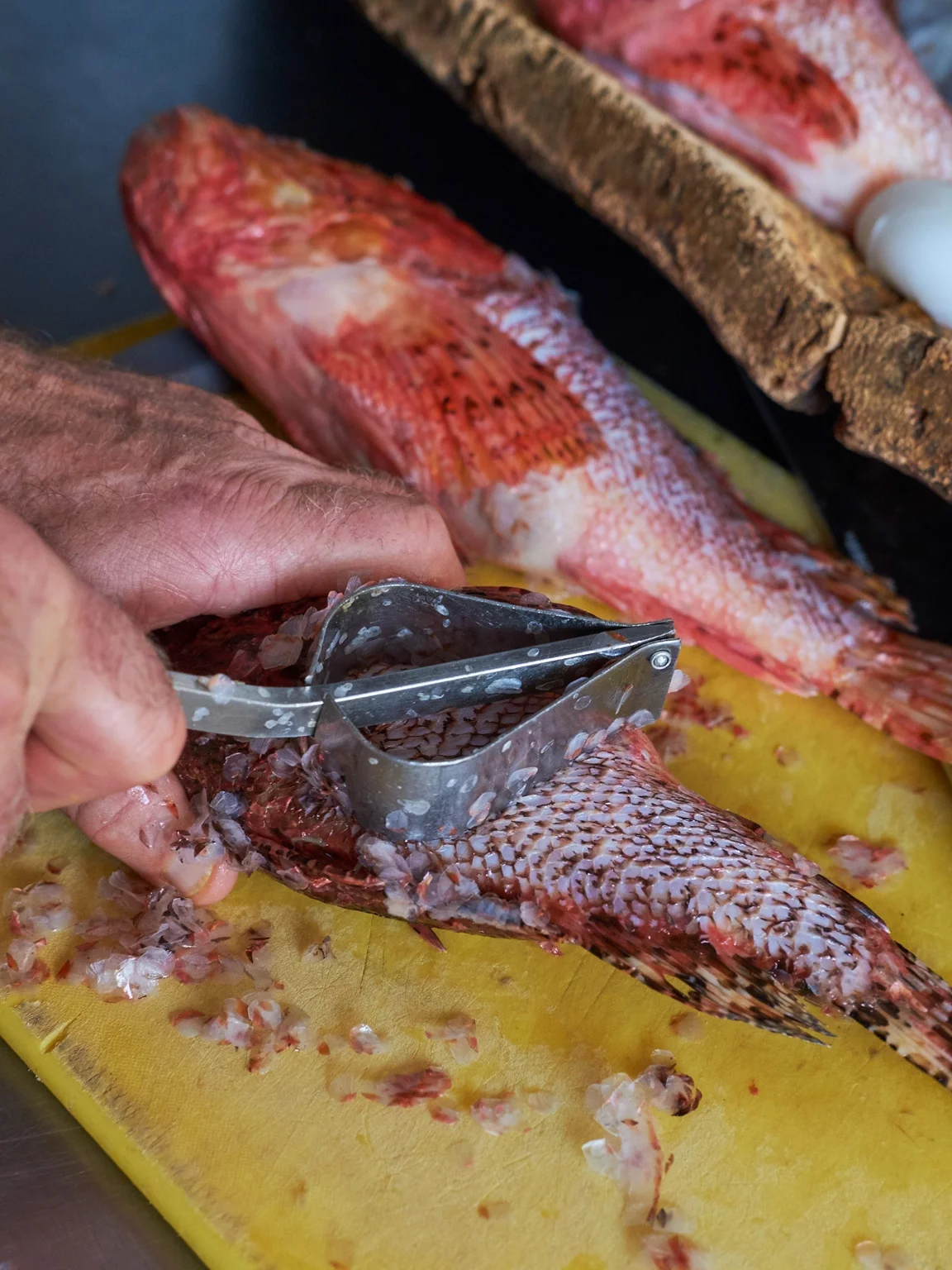 bouillabaisse_7388.jpg